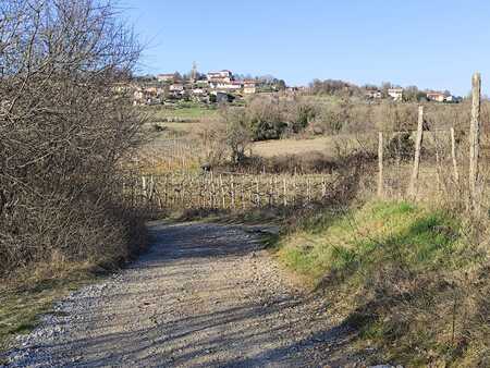 Tomajska veduta; RV3.